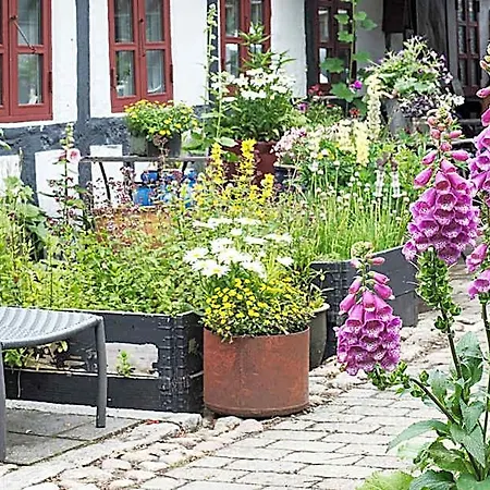 ベッド・アンド・ブレックファスト Grundfor Bed And Breakfast 3*