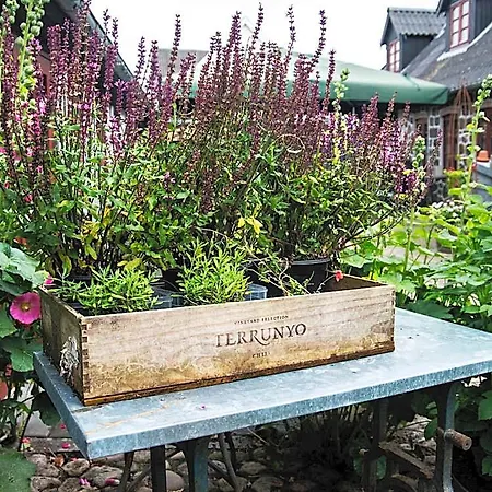 ベッド・アンド・ブレックファスト Grundfor Bed And Breakfast Grundfør