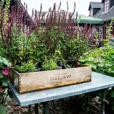 Bed & Breakfast Grundfor Bed And Breakfast Grundfor