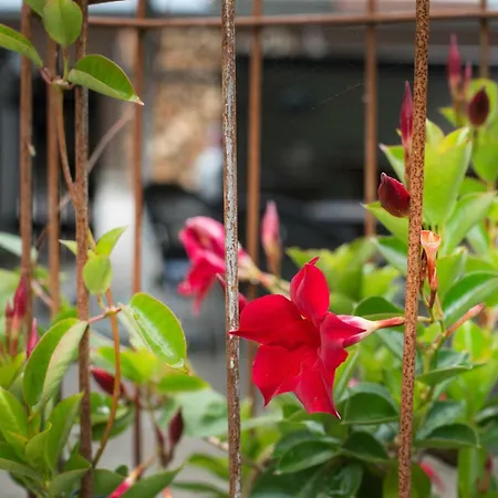 فندق مبيت وإفطار Grundfor Bed And Breakfast Grundfor