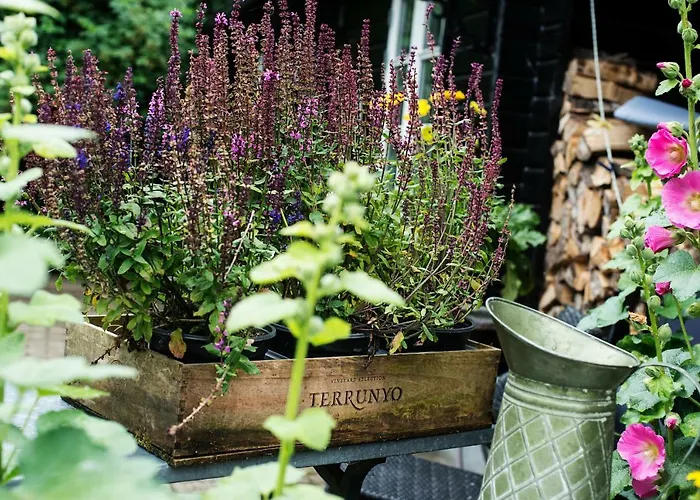 Grundfor Bed And Breakfast 3*