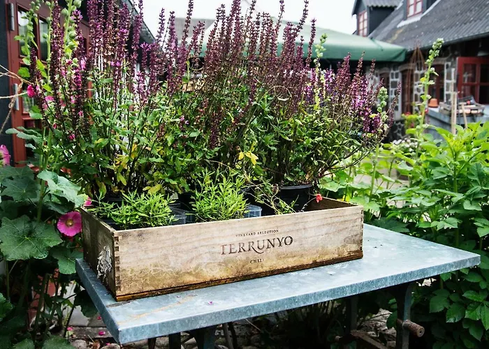 ベッド・アンド・ブレックファスト Grundfor Bed And Breakfast Grundfør