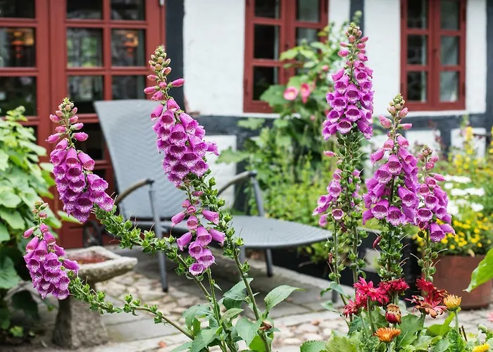 Grundfor Bed And Breakfast B&B