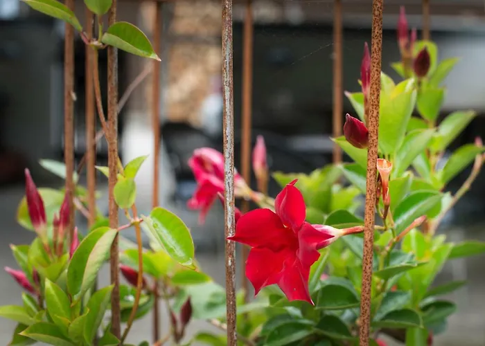 B&B Grundfor Bed And Breakfast Grundfor